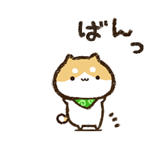 Small and cute Shiba Inu