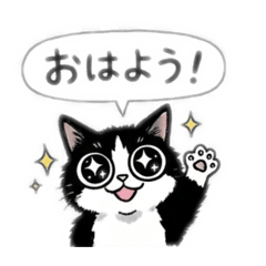 Are u cats lover?