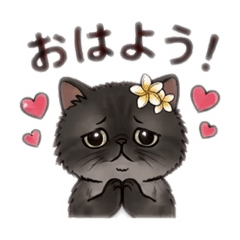 Neko stamp_20260710101140