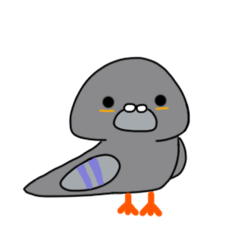 Lovely Pigeon