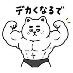 Freckled Super Muscular Cat