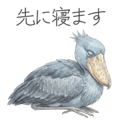 Shoebill Home Memos