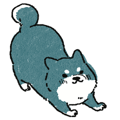 Indigo Shiba Inu