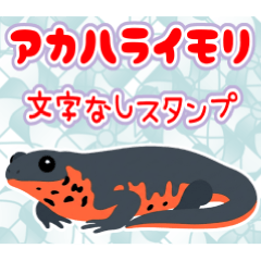 【文字なし】アカハライモリ