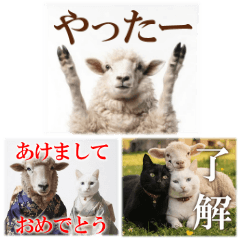 Sheep and Cat, Greetings, New Year's