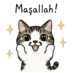 Everyday Turkish Stickers [Cat]
