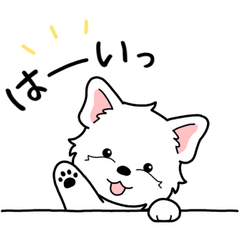 Dog sticker.#21 Westie