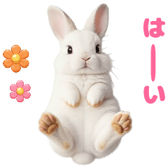 動く！可愛いウサギ カラフル 挨拶 返事