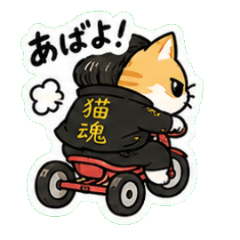 Delinquent Cat's Daily Chat