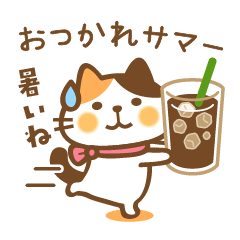Calico cat Miketa-san Summer ver