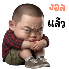 Krien Boy 40
