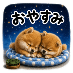 Greetings of Shiba Inu 14