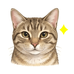 Sebastianchuchu  AI Cat YT Channel XI