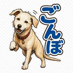 讃岐犬ごんぼの返事