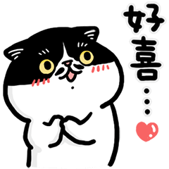 Dot Cat 6