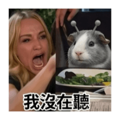外星天竺鼠佔領貼圖世界3