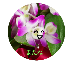 Flower tweet