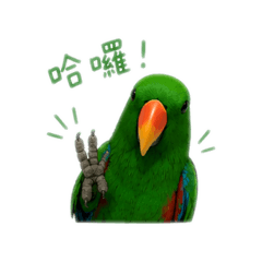 娃娃陪你每一天～
