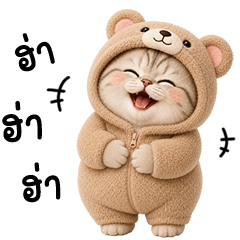 Chubby cute cat in Bear outfit