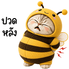 Chubby cute cat in Bee outfit