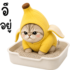 Chubby cute cat in Banana outfit