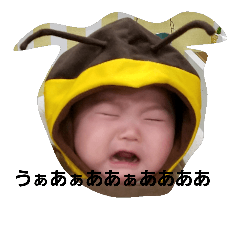 sakaikenosutannpu
