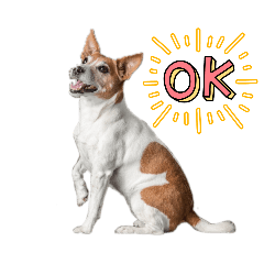 Suzu the Dog Sticker