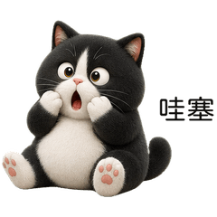 แมวดำขาวสุดน่ารัก(TWN)