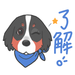 Bernese'sFaceonlysticker OverseasVersion