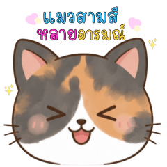 แมวสามสีแสนซนอิโมจิหลากหลายอารมณ์