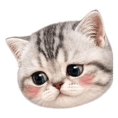 Silver Tabby Cat Emoji Many Moods