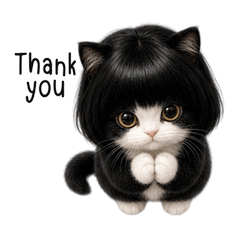 Bob-Hair Tuxedo Baby Cat (EN)
