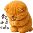 แมว