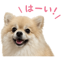 yuka_20260711210916