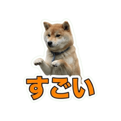 Risa_20260711213218
