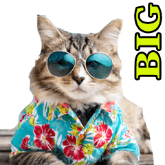 The Big Cat's Summer