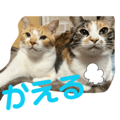 YUKA_20260712102346