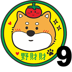 shiba lnu Cai-Cai-9