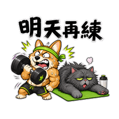 Dog Cat Lazy Fitness