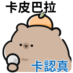 The Daily Life of Cute Capybaras