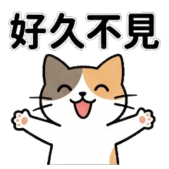 Hug Calico Cat Daily Chat