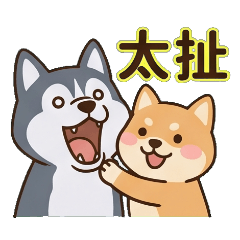 Husky Shiba Duo Daily Chat
