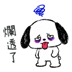 QQQQQQQQQQQQQQugly puppy1