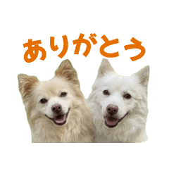 hachi&kanta