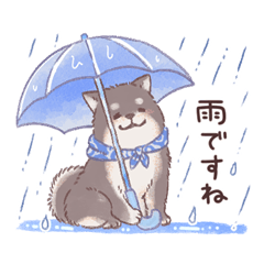 ずっと使える！夏のもふもふ黒柴