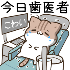 unmotivated calico cat scorching heat