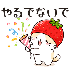 徳島弁あるある!いちごねこリアクション編