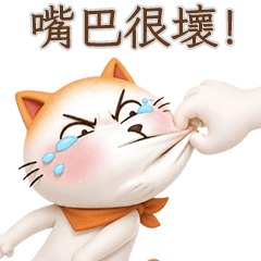 Boom Boom Cat.2 (TWN)