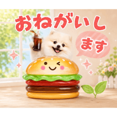元気に動く☆癒しポメラニアン