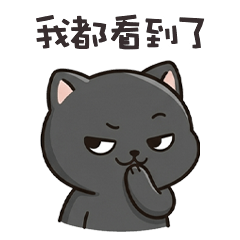 chubby cutie cats16L